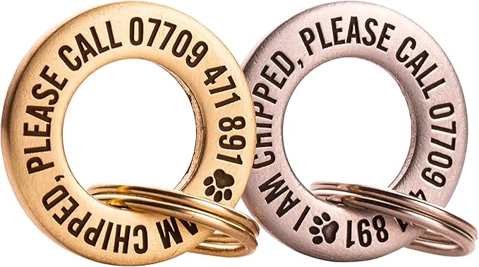 Engraved Dog Tags